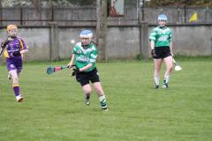 Camogie-Feile-2016-08