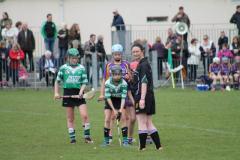Camogie-Feile-2016-10