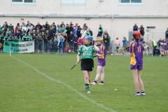 Camogie-Feile-2016-12