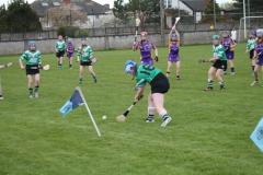 Camogie-Feile-2016-15