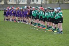 Camogie-Feile-2016-16