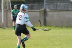 Camogie-Feile-2016-27