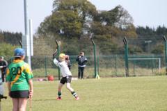 Camogie-Feile-2016-31