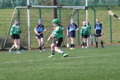 Camogie-Feile-2016-32