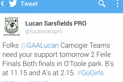 Best-of-Luck-to-Both-U14-Camogie-Teams-in-Feile-Finals-11-04-2015