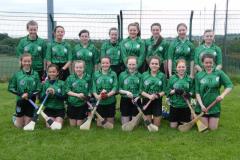 Drive-vanrentals.ie_